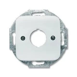 Busch-Jaeger 2533-214 Zentralscheibe
