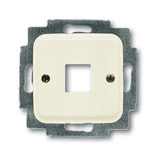 Busch-Jaeger 2561-212 Zentralscheibe