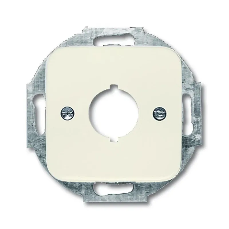 Busch-Jaeger 2534-212 Zentralscheibe