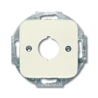 Busch-Jaeger 2534-212 Zentralscheibe