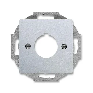 Busch-Jaeger 2533-83 Zentralscheibe