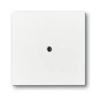 Busch-Jaeger 1745-84 Zentralscheibe