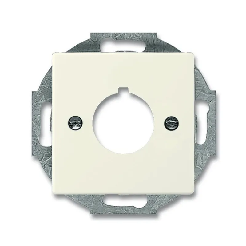 Busch-Jaeger 2533-82 Zentralscheibe