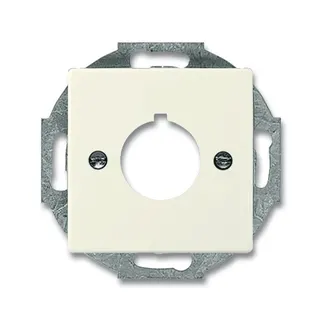 Busch-Jaeger 2533-82 Zentralscheibe