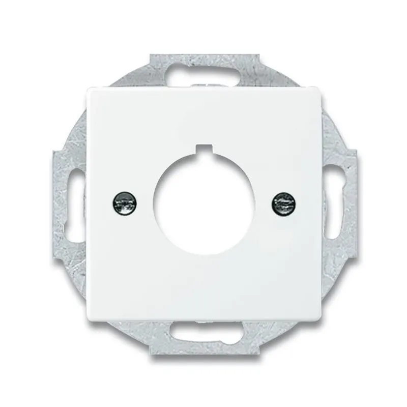 Busch-Jaeger 2533-84 Zentralscheibe