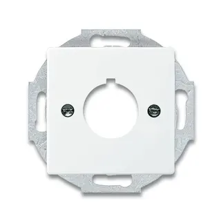 Busch-Jaeger 2533-84 Zentralscheibe