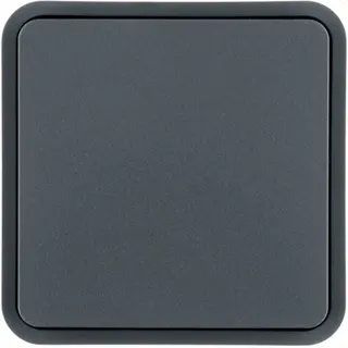 Berker Wippe 1fach grau 6130763545