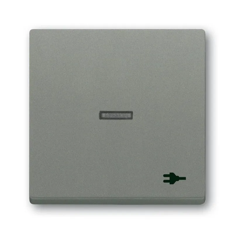 Busch-Jaeger Wippe 1789 ST-803 Kalotte transp. Sym. Stecker