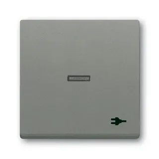 Busch-Jaeger Wippe 1789 ST-803 Kalotte transp. Sym. Stecker