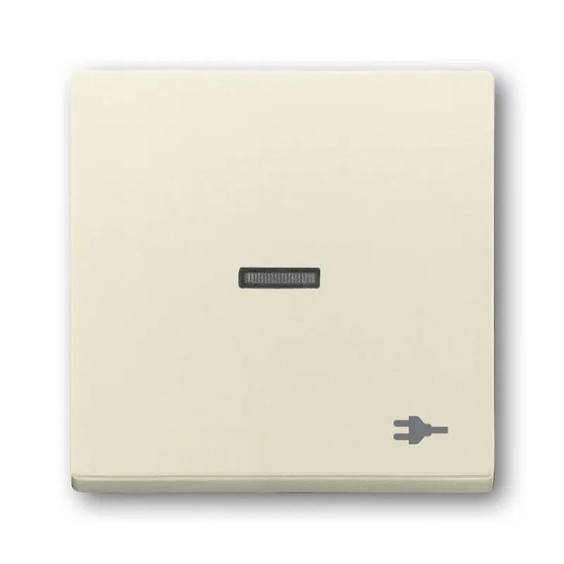 Busch-Jaeger Wippe 1789 ST-82 Kalotte transp. Sym. Stecker
