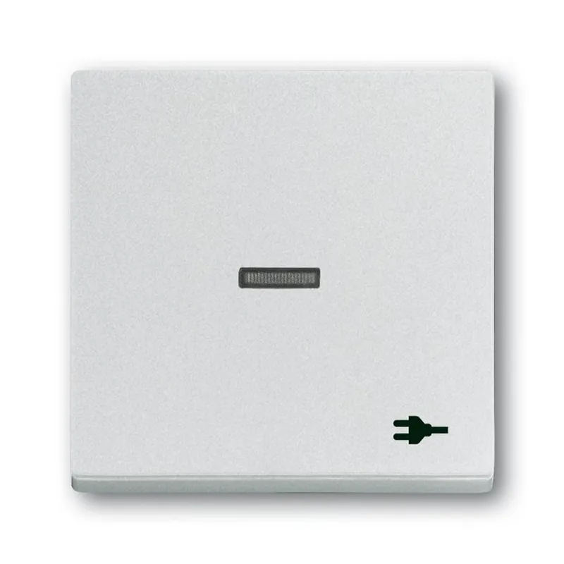 Busch-Jaeger Wippe 1789 ST-83 Kalotte transp. Sym. Stecker
