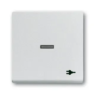 Busch-Jaeger Wippe 1789 ST-83 Kalotte transp. Sym. Stecker