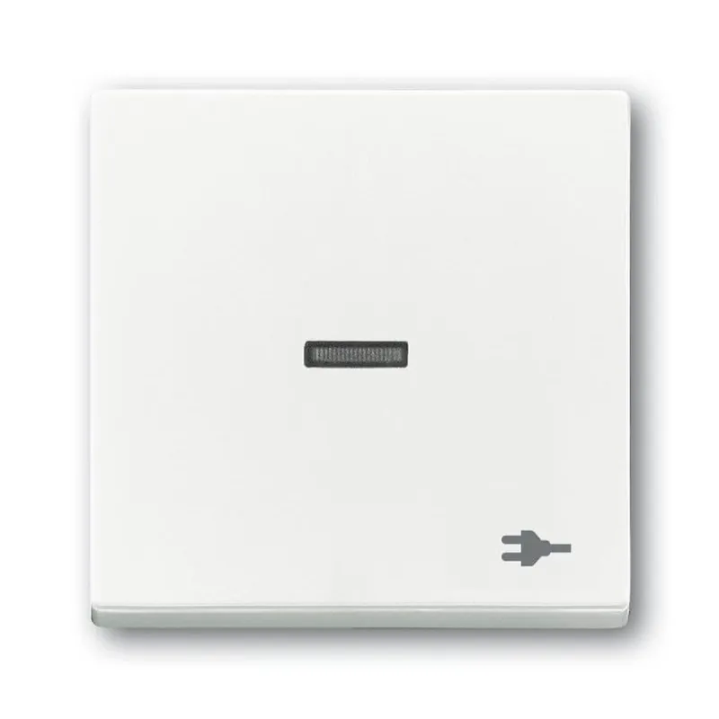 Busch-Jaeger Wippe 1789 ST-84 Kalotte transp. Sym. Stecker