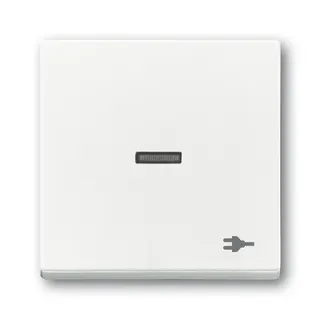 Busch-Jaeger Wippe 1789 ST-84 Kalotte transp. Sym. Stecker