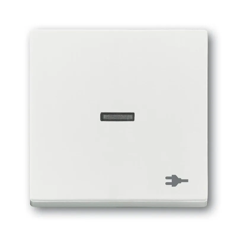 Busch-Jaeger Wippe 1789 ST-884 Kalotte transp. Sym. Stecker