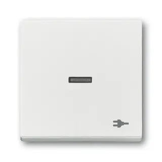 Busch-Jaeger Wippe 1789 ST-884 Kalotte transp. Sym. Stecker