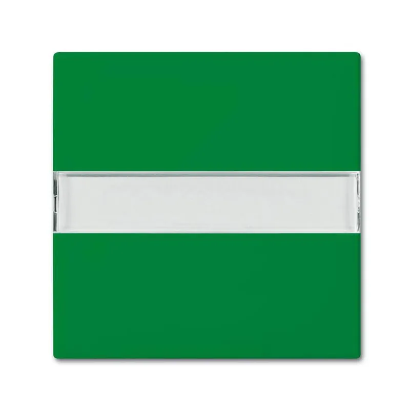 Busch-Jaeger Wippe 2510 NLI-13-914 Beschriftungsfeld grün