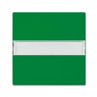Busch-Jaeger Wippe 2510 NLI-13-914 Beschriftungsfeld grün