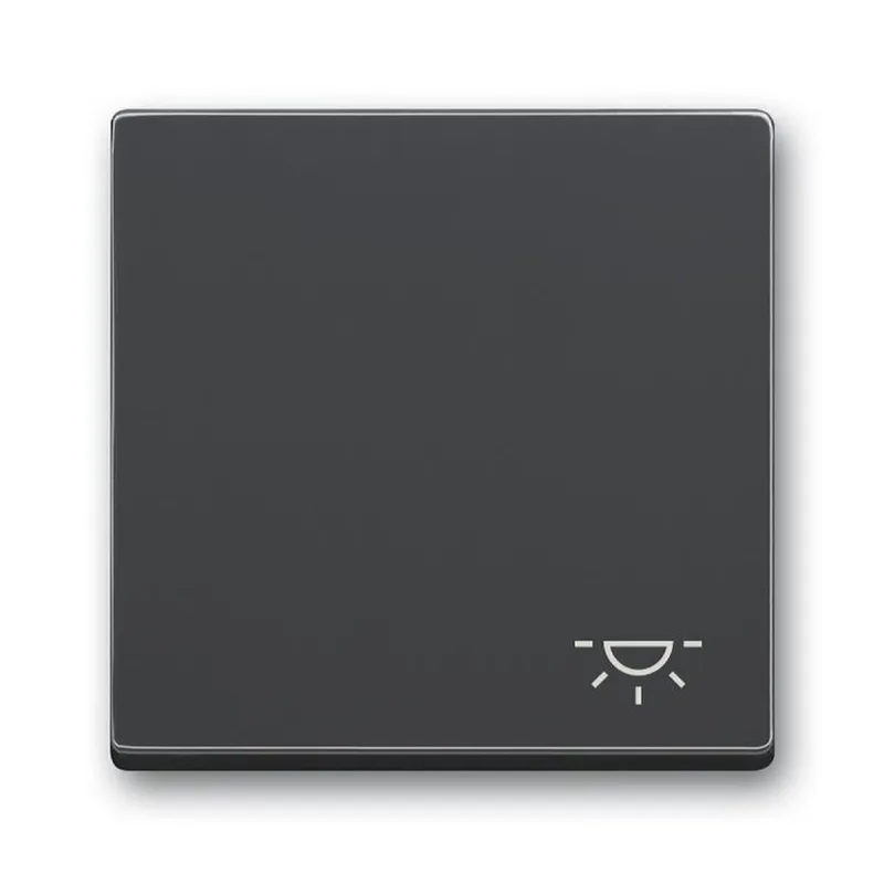 Busch-Jaeger Wippe 2520 LI-81 Symbol Licht