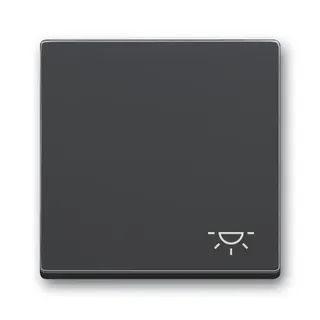 Busch-Jaeger Wippe 2520 LI-81 Symbol Licht