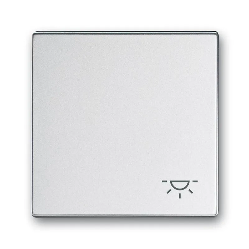 Busch-Jaeger Wippe 2520 LI-83 Symbol Licht
