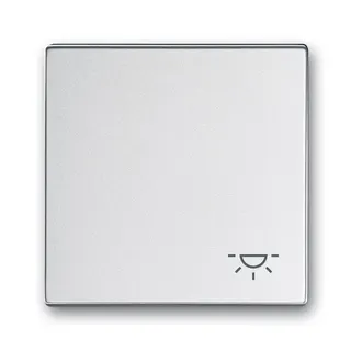 Busch-Jaeger Wippe 2520 LI-83 Symbol Licht