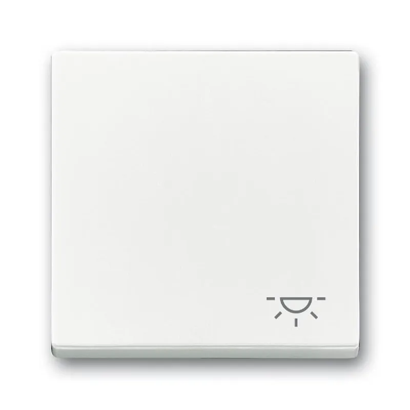 Busch-Jaeger Wippe 2520 LI-84 Symbol Licht