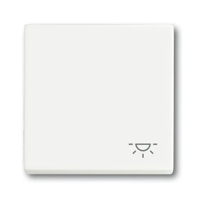 Busch-Jaeger Wippe 2520 LI-884 Symbol Licht