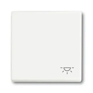 Busch-Jaeger Wippe 2520 LI-884 Symbol Licht