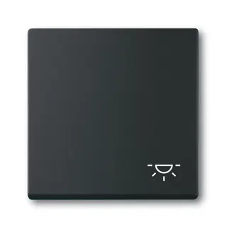 Busch-Jaeger Wippe 2520 LI-885 Symbol Licht