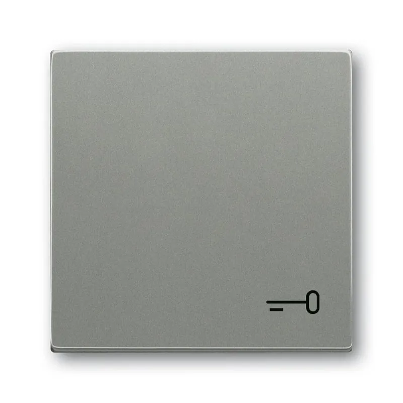 Busch-Jaeger Wippe 2520 TR-803 Symbol Schlüssel