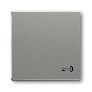 Busch-Jaeger Wippe 2520 TR-803 Symbol Schlüssel
