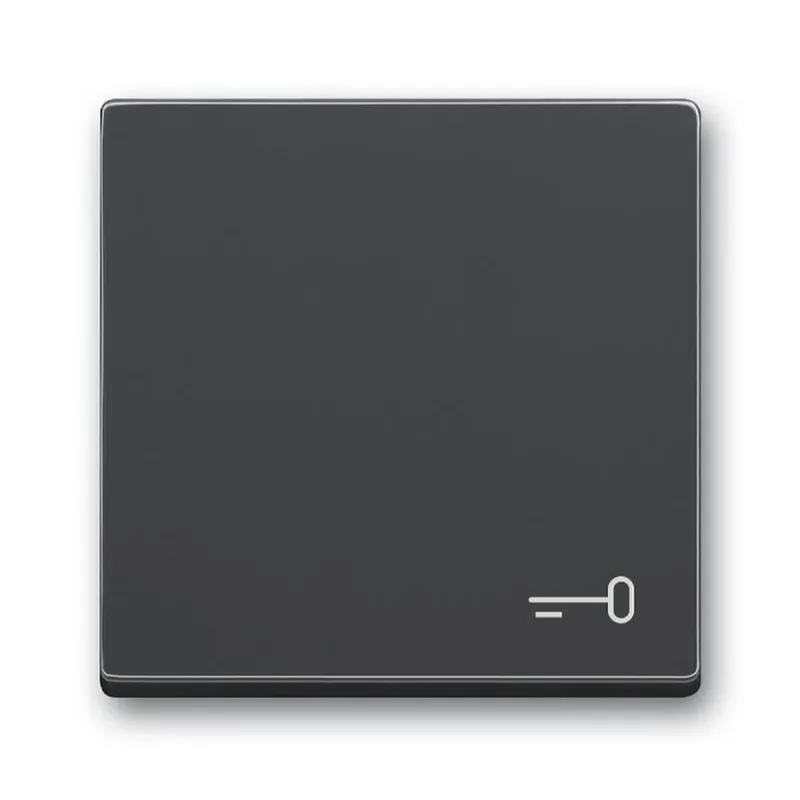 Busch-Jaeger Wippe 2520 TR-81 Symbol Schlüssel
