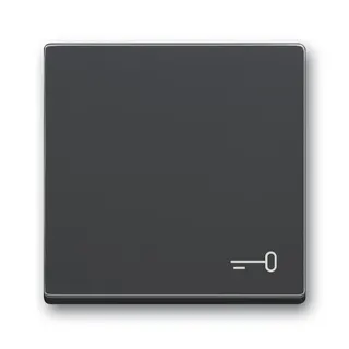 Busch-Jaeger Wippe 2520 TR-81 Symbol Schlüssel