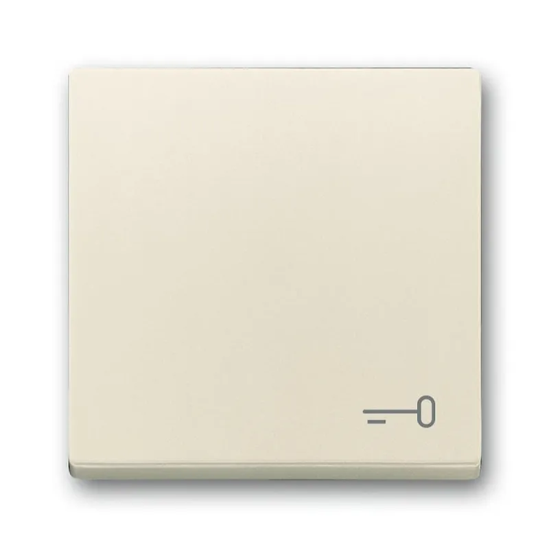 Busch-Jaeger Wippe 2520 TR-82 Symbol Schlüssel