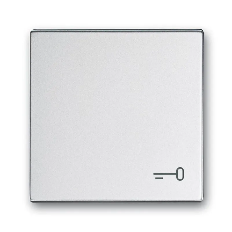 Busch-Jaeger Wippe 2520 TR-83 Symbol Schlüssel