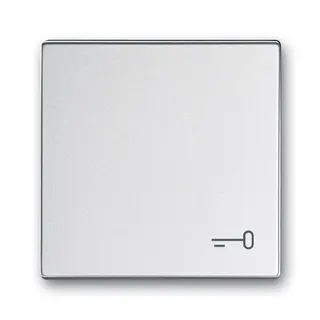 Busch-Jaeger Wippe 2520 TR-83 Symbol Schlüssel