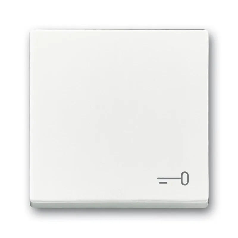 Busch-Jaeger Wippe 2520 TR-84 Symbol Schlüssel