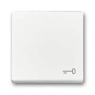 Busch-Jaeger Wippe 2520 TR-84 Symbol Schlüssel