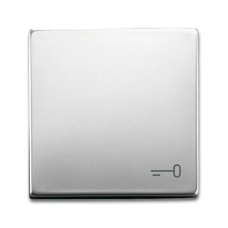 Busch-Jaeger Wippe 2520 TR-866 Symbol Schlüssel