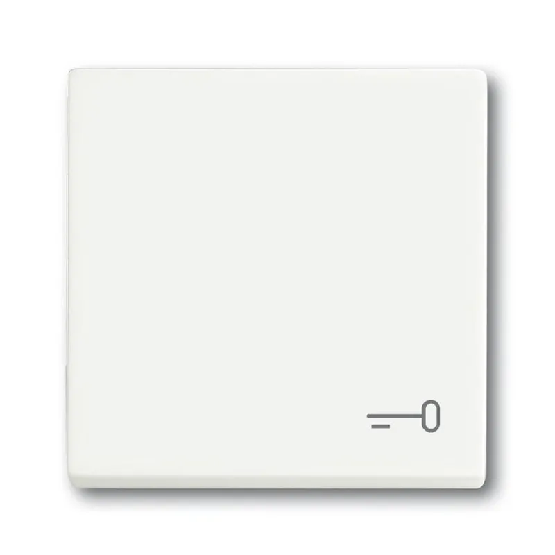 Busch-Jaeger Wippe 2520 TR-884 Symbol Schlüssel