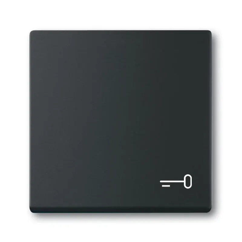 Busch-Jaeger Wippe 2520 TR-885 Symbol Schlüssel
