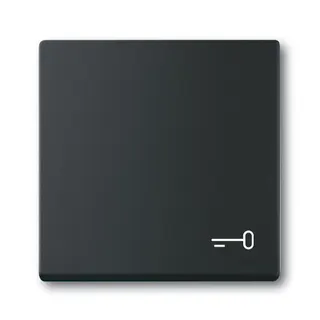 Busch-Jaeger Wippe 2520 TR-885 Symbol Schlüssel