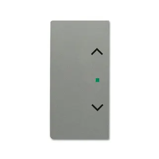 Busch-Jaeger Wippe 6232-20-803 2fach Jalousie