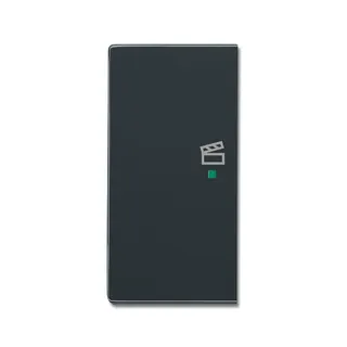 Busch-Jaeger Wippe 6233-21-81 2fach links Symbol Szene