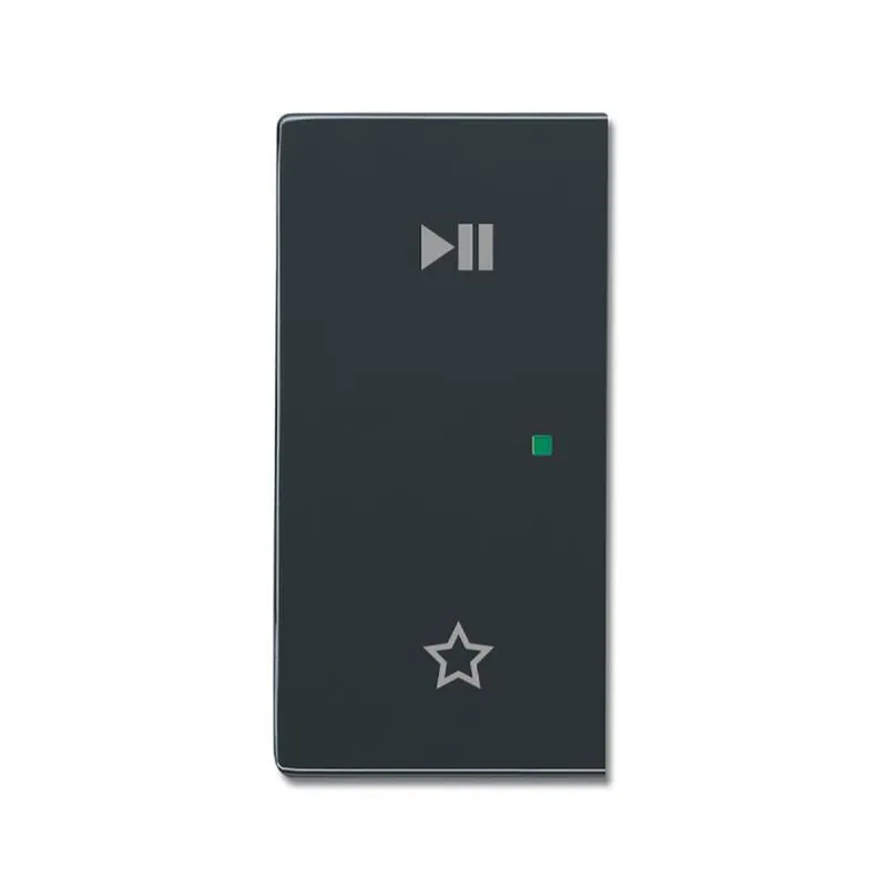 Busch-Jaeger Wippe 6237-21-81 2fach links Play/Pause