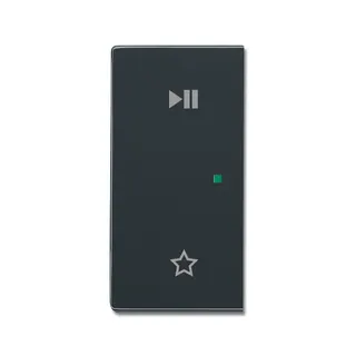 Busch-Jaeger Wippe 6237-21-81 2fach links Play/Pause