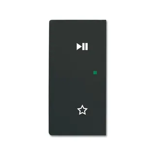 Busch-Jaeger Wippe 6237-21-885 2fach links Play/Pause