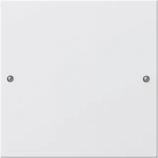 Gira Set 218127 1fach System 55 reinweiss matt