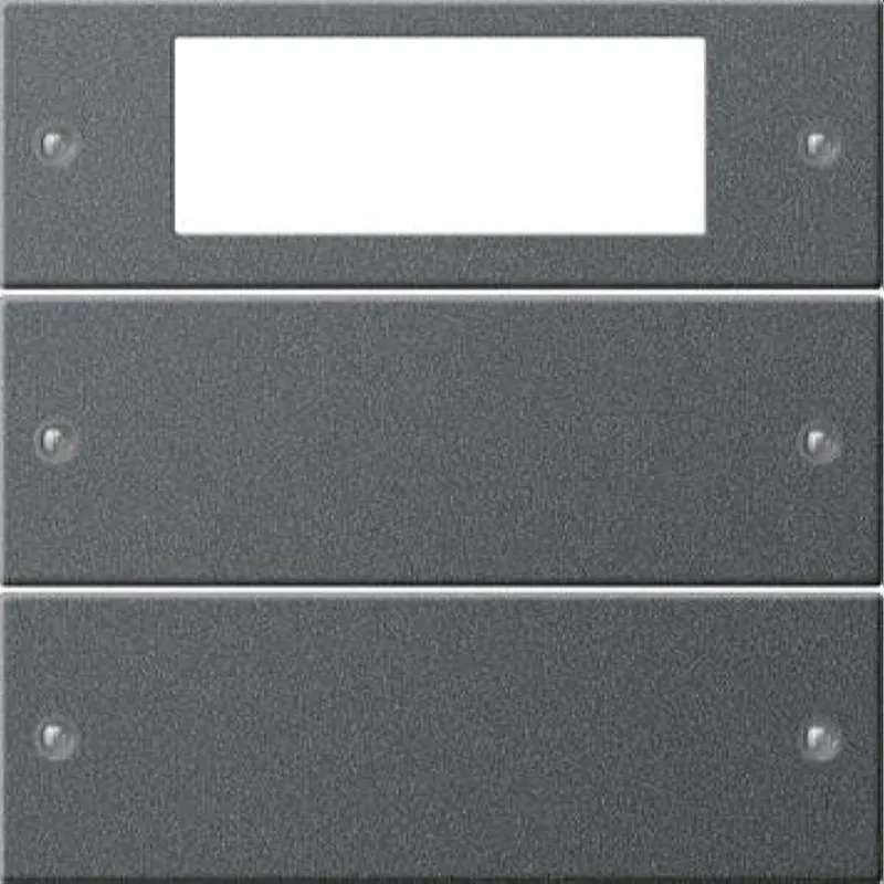 Gira Set 219228 2fach Plus System 55 anthrazit